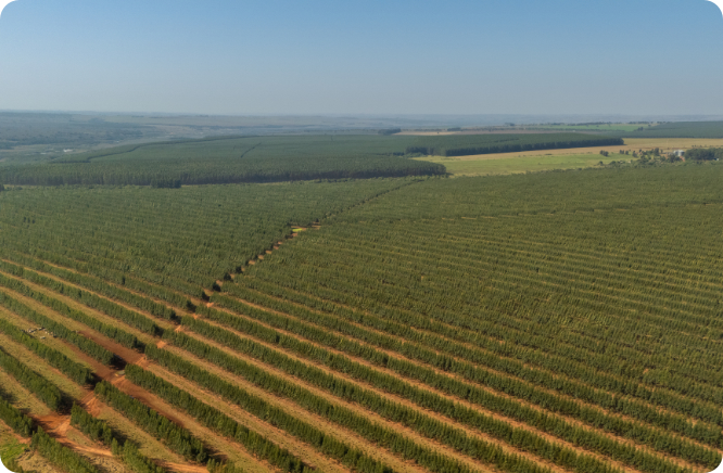 Sustentabilidade com infinitas possibilidades